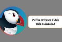 Puffin Browser Tidak Bisa Download