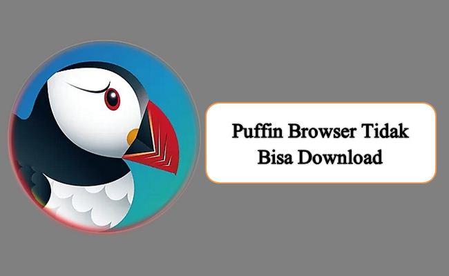 Puffin Browser Tidak Bisa Download